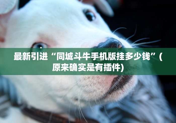 全网解答｜“微信秦游十三道怎么开挂是真的吗？”开挂(透视)辅助教程