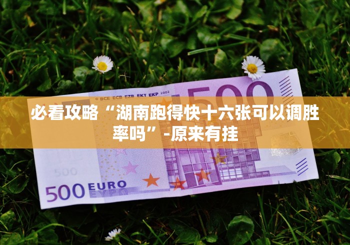 必看攻略“湖南跑得快十六张可以调胜率吗”-原来有挂