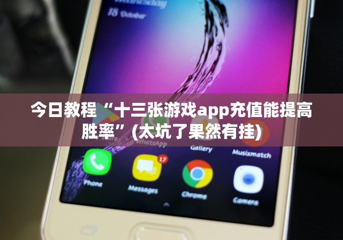 今日教程“十三张游戏app充值能提高胜率”(太坑了果然有挂)