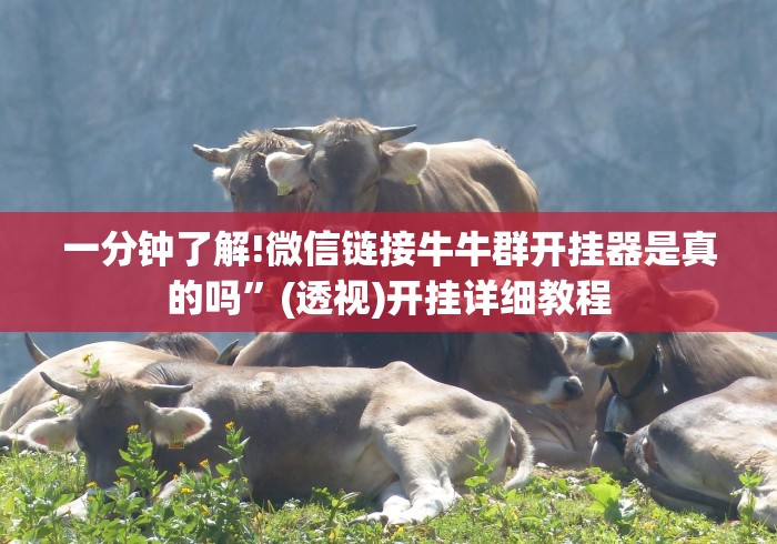 一分钟讲解“众娱十三水可以调胜率吗”(透视曝光猫腻)