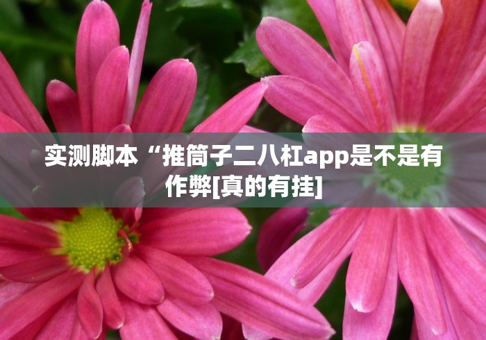 专家分析“白金岛常德跑胡子怎么提高好牌几率”分享必要外挂教程