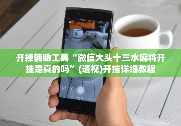 开挂辅助工具“微信大头十三水麻将开挂是真的吗”(透视)开挂详细教程