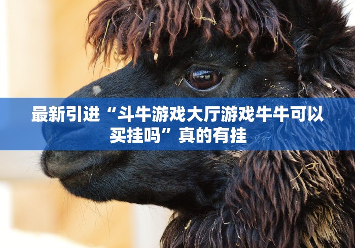 最新引进“斗牛游戏大厅游戏牛牛可以买挂吗”真的有挂