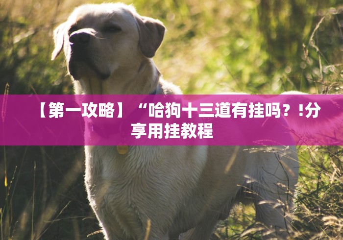 分析实测“余音游戏决战十三水怎样可以赢钱”(原来确实是有挂)