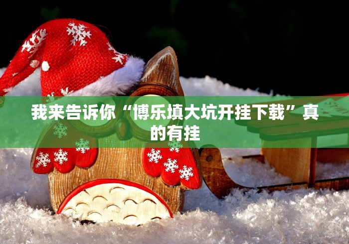 我来告诉你“博乐填大坑开挂下载”真的有挂