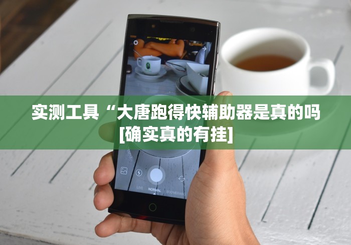 实测工具“大唐跑得快辅助器是真的吗[确实真的有挂]