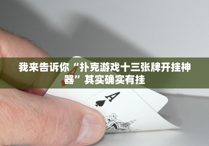 必学教你安装“永州扯胡子辅助器安全吗”有挂详细开挂教程