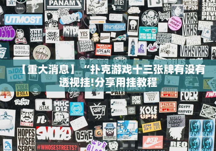 【知道】“随身十三张怎么天天输”(详细开挂教程)