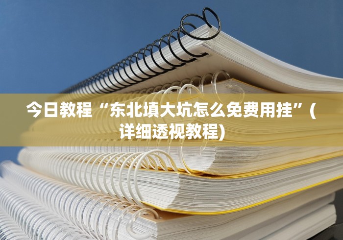 今日教程“东北填大坑怎么免费用挂”(详细透视教程)