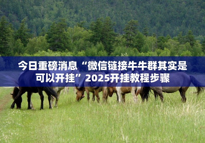 实测辅助“跑得快真人版怎么开挂辅助!分享用挂教程