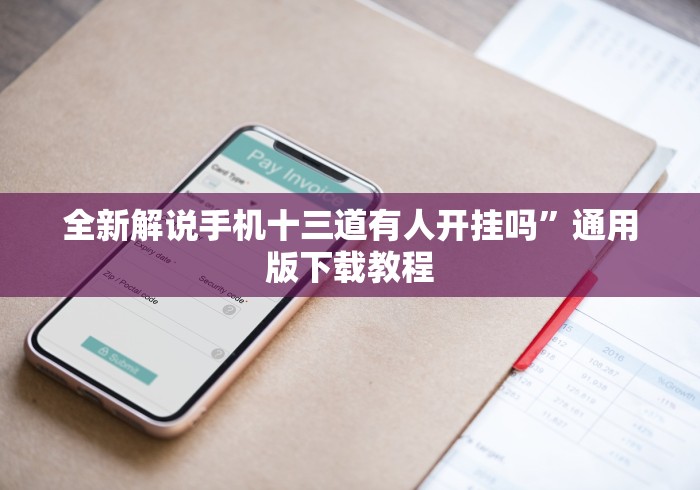 全新解说手机十三道有人开挂吗”通用版下载教程
